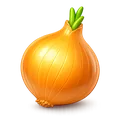Cebolla